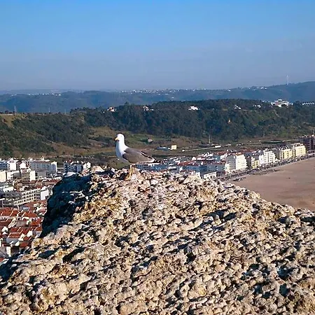 Ancora Mar 나자레
